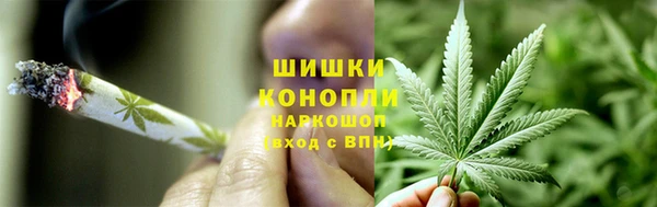 молекула духа Новокубанск