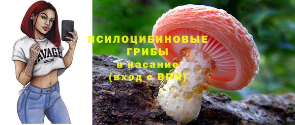круглые Новозыбков