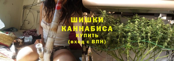молекула духа Новокубанск