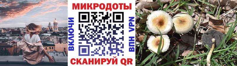 Псилоцибиновые грибы GOLDEN TEACHER  Собинка 